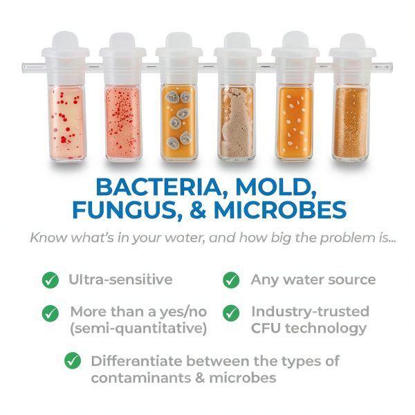 Bacteria in Water Test Kit by Detekt – Detect Bacteria & Mold – 24h-1
