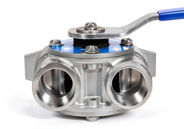 Rendroz 3/4" NPT Steel Bypass Valve Fits Fleck Heads, Replaces 60040SS-2
